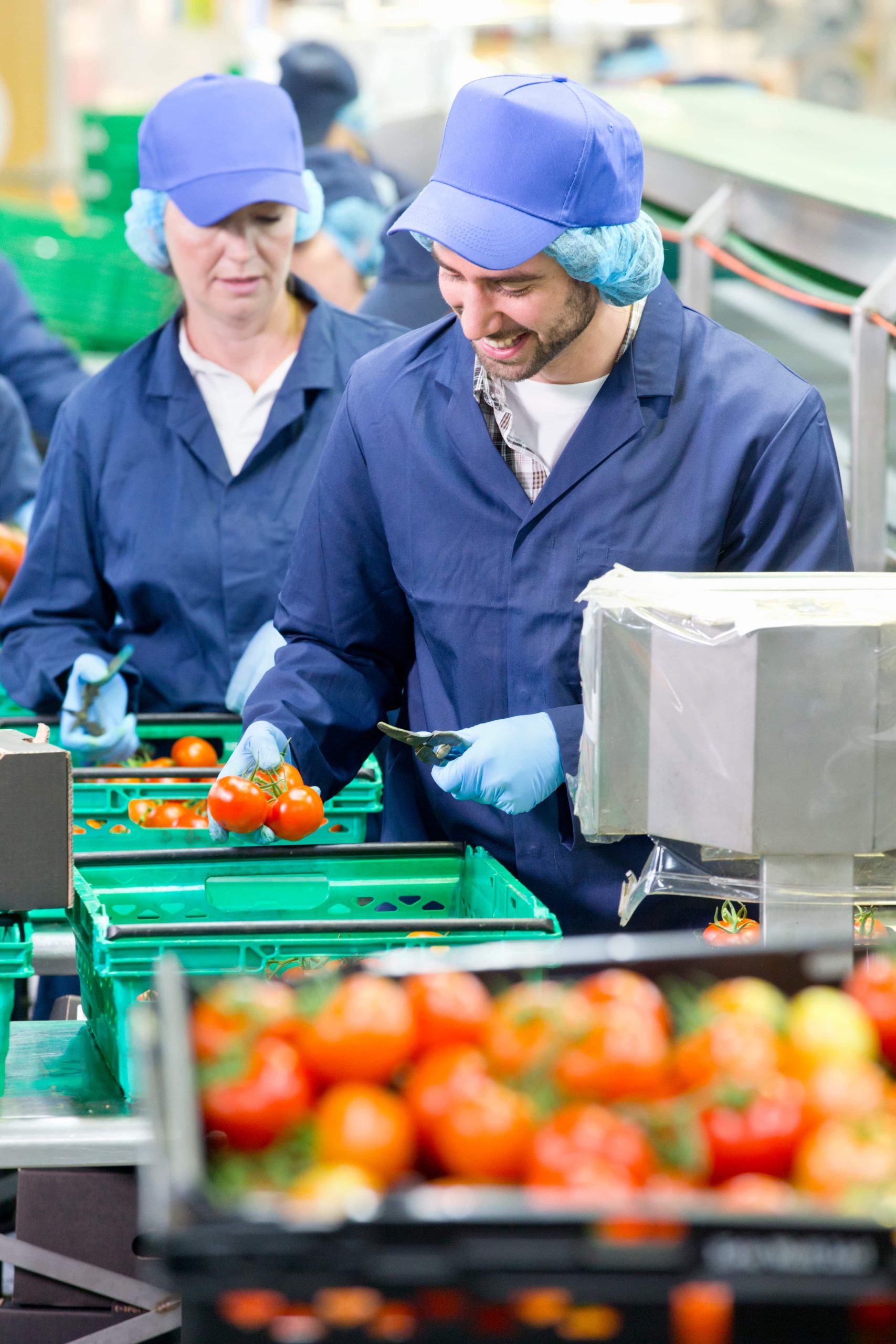 Internationale medewerkers